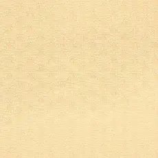 Вертикальні жалюзі 127 мм тканина Salut Салют