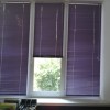 Жалюзі кольорові в Дитячий садок