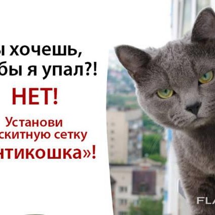 Сітка Антикішка на вікно — Кішка не випаде комар, не попаде Сітка Антикішка на вікно — Кішка не випаде комар, не попаде