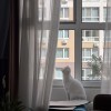 Сітка з нержавіючої сталі від комах та випадіння домашніх тварин – полотно на відріз або рулоном